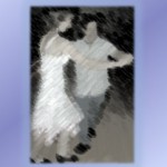 Gabriel Mongefranco Ballroom Dancing With April Turek