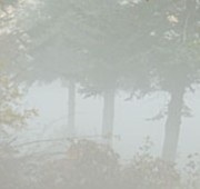 Mist